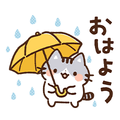 Weather Cat 01