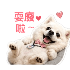我的ID是樂樂