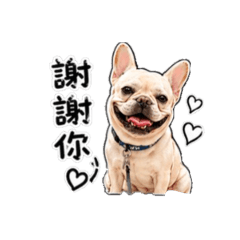 神氣法鬥妞JoJo
