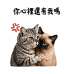 嚕嚕冷戰中