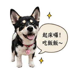 柴道之日常生活