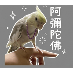玄鳳。