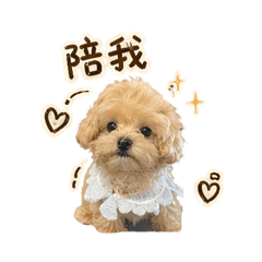 蕎麥小朋友