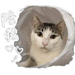 芸芸的尼尼貓 第一彈