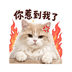 任性版Lico