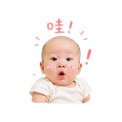 楊Q毛ㄟ貼圖