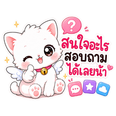 CatShop_Store