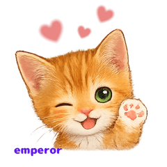 Rescue Cat LINE Stickers2