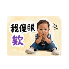 可愛的茶妞