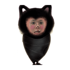 安安！安安！