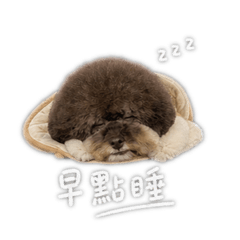 Aniki寶寶の日常語錄