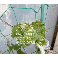 tiyun_20260428092738