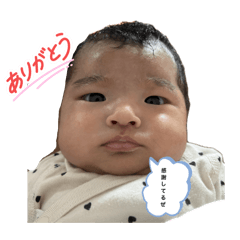 Shima_20260510001029