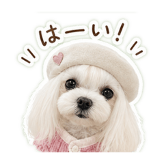 4kids_20260510001457