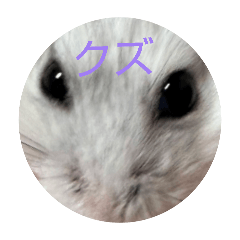 misamaru_20260510001710
