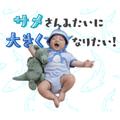haruka_20260510001443