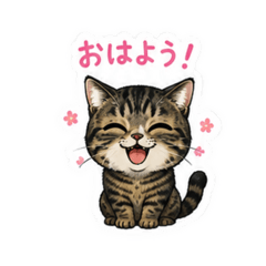 SORA_20260510002048