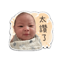 洪豆泥小比比