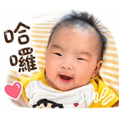 小屁汝的用語