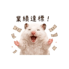 鼠鼠代銷