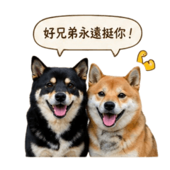 柴道之挺你啦