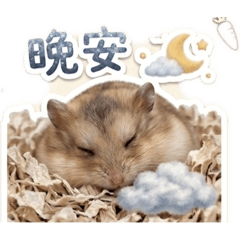 陳小小的可愛貼圖