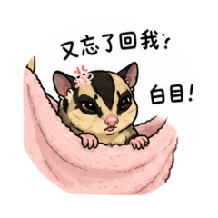 Pana 生氣日常