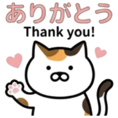 Bilingual Calico Cat: Trading