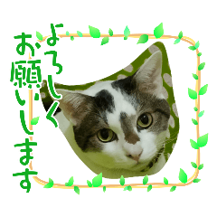 mahataku_20260510002426