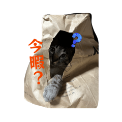 nakakawa_20260510003018