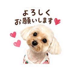 Ruu_20260510003217