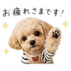 nana_20260510002439