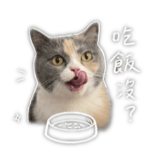 小拾