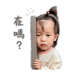 我的寶貝菲