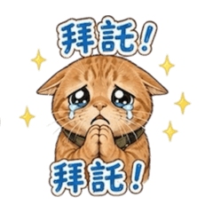 橘豆來囉！