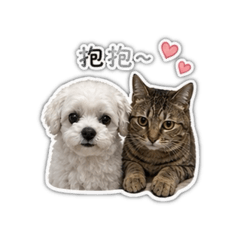 咘然你柚要怎樣1