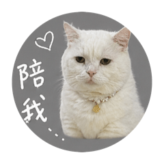 兜兜is me