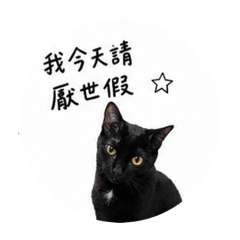 黑賓花不想上班