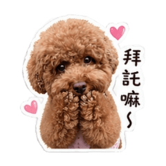 小熊熊的生活Part2