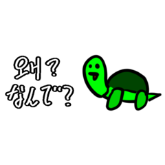 kamechi3841_20260501155712