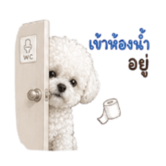 Littleb_20260511160327