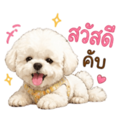 Littleb_20260508170823