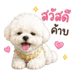 Littleb_20260511162429