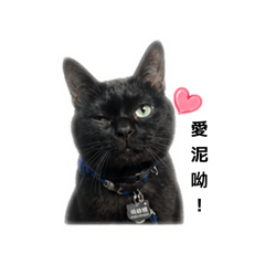楊麻糬日常