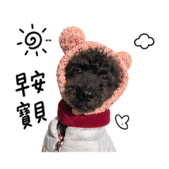 毛寶寶日常用語