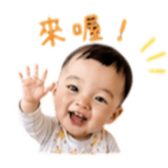 糖炒栗子5.0