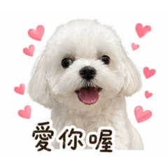 小荳寶子2