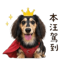 臘腸美女Miku醬