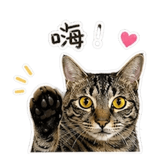 甜甜圈圈甜
