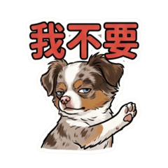 吉娃-有貴第二彈